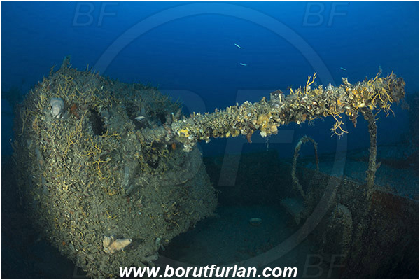 Island Rab, Croatia, Adriatic sea, Mediterranean sea, Wreck, Wreck F-433, German WW-II boat F-433
