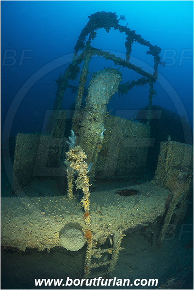 Island Rab, Croatia, Adriatic sea, Mediterranean sea, Wreck, Wreck F-433, German WW-II boat F-433