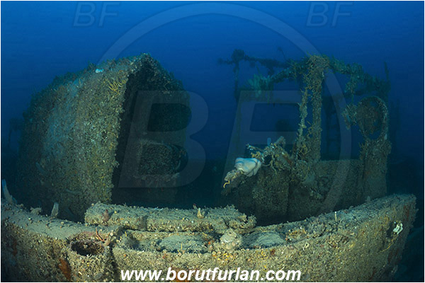 Island Rab, Croatia, Adriatic sea, Mediterranean sea, Wreck, Wreck F-433, German WW-II boat F-433