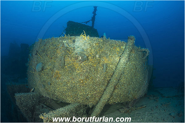 Island Rab, Croatia, Adriatic sea, Mediterranean sea, Wreck, Wreck F-433, German WW-II boat F-433