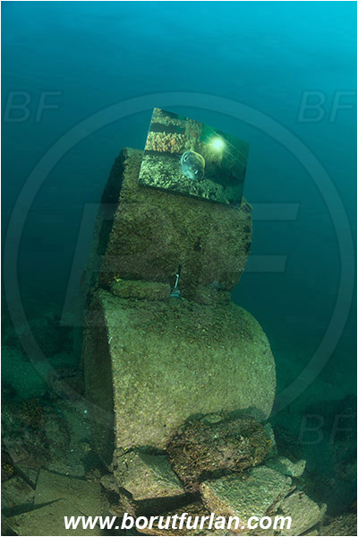 Piran, Slovenia, Adriatic sea, Mediterranean sea, Reef, Concrete sewer pipes, Underwater exhibition of underwater images, Underwater exhibition, Exhibition, Underwater image