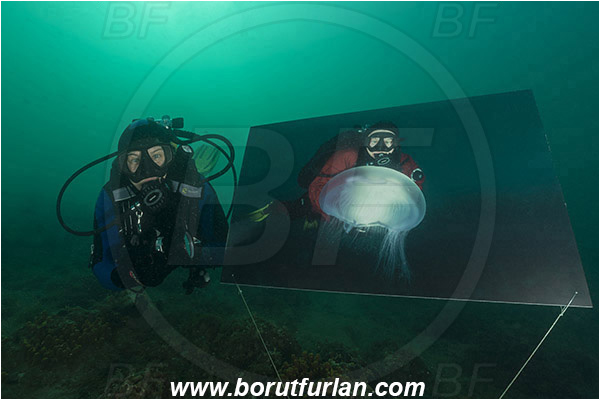 Piran, Slovenia, Adriatic sea, Mediterranean sea, Reef, Underwater exhibition of underwater images, Underwater exhibition, Exhibition, Underwater image, Diver