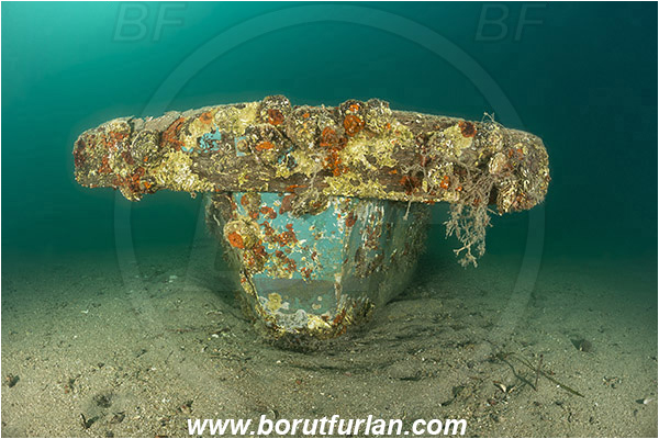 Fiesa, Slovenia, Adriatic sea, Mediterranean sea, Wreck, Boat