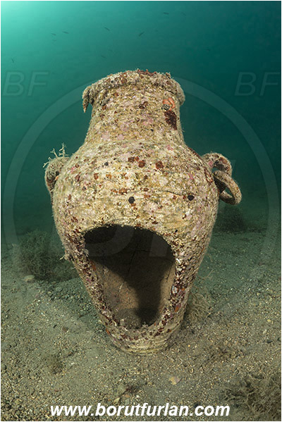 Fiesa, Slovenia, Adriatic sea, Mediterranean sea, Artificial amphora