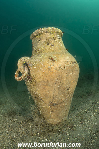 Fiesa, Slovenia, Adriatic sea, Mediterranean sea, Artificial amphora
