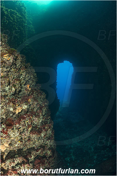Island Susac, Croatia, Adriatic sea, Mediterranean sea, Reef, Sea lake, Tunnel