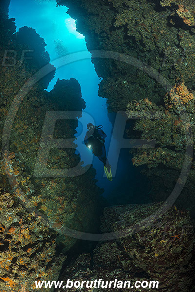 Island Susac, Croatia, Adriatic sea, Mediterranean sea, Reef, Cave, Diver, Canyon