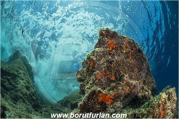 Island Susac, Croatia, Adriatic sea, Mediterranean sea, Reef, Rock, Waves
