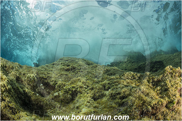 Island Susac, Croatia, Adriatic sea, Mediterranean sea, Reef, Rock, Waves