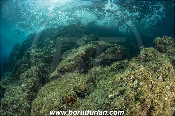 Island Susac, Croatia, Adriatic sea, Mediterranean sea, Reef, Rock, Waves