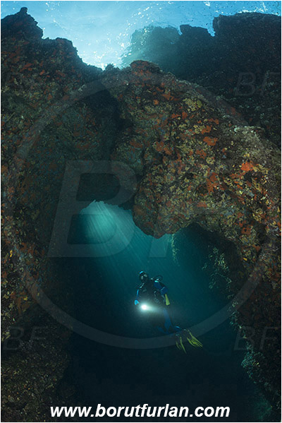 Island Susac, Croatia, Adriatic sea, Mediterranean sea, Reef, Cave, Sea lake, Sponges, Porifera, Light rays, Diver