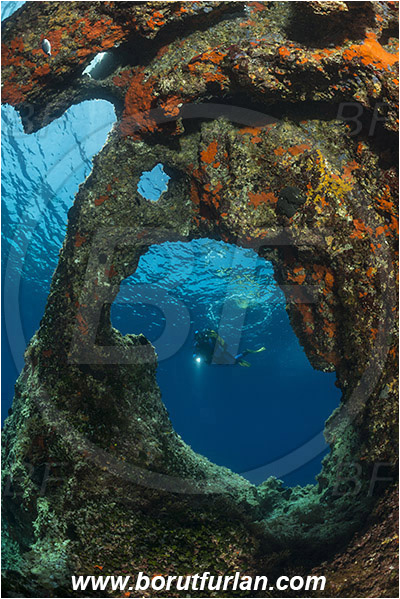 Island Susac, Croatia, Adriatic sea, Mediterranean sea, Reef, Window, Tunnel, Rocks, Diver