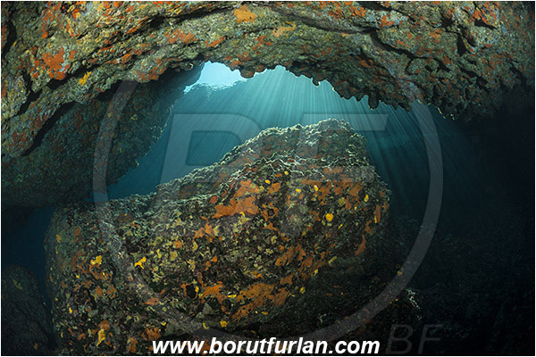 Island Susac, Croatia, Adriatic sea, Mediterranean sea, Reef, Cave, Sea lake, Sponges, Porifera, Light rays