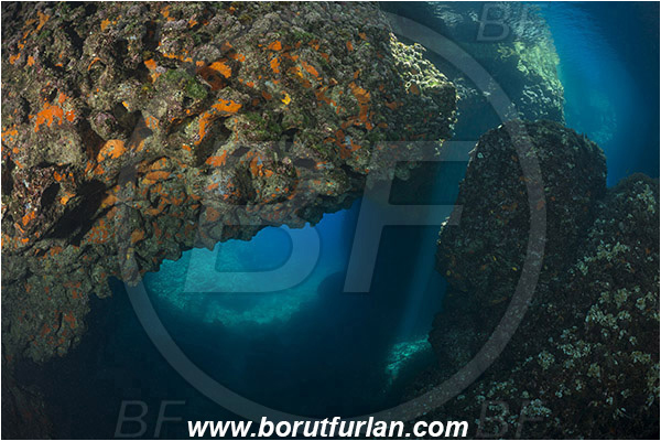 Island Susac, Croatia, Adriatic sea, Mediterranean sea, Reef, Cave, Sea lake, Sponges, Porifera, Light rays, Tunnel