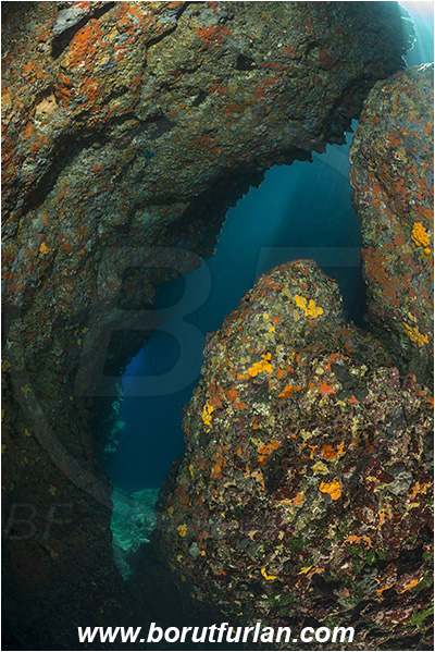 Island Susac, Croatia, Adriatic sea, Mediterranean sea, Reef, Cave, Sea lake, Sponges, Porifera, Light rays