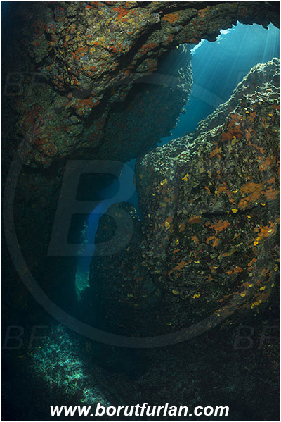 Island Susac, Croatia, Adriatic sea, Mediterranean sea, Reef, Cave, Sea lake, Sponges, Porifera, Light rays