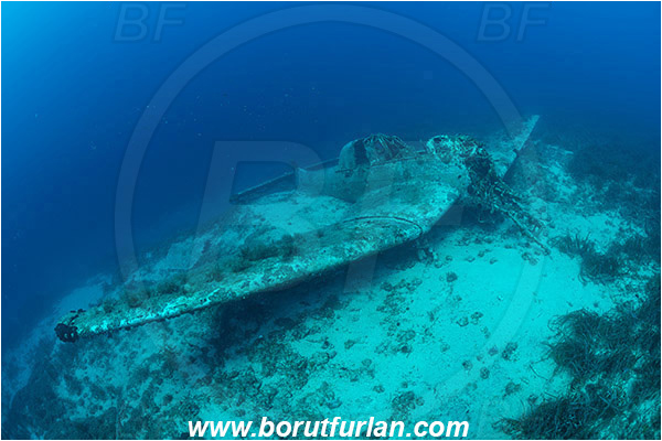 Island Zirje, Croatia, Adriatic sea, Mediterranean sea, Wreck, Airplane, Junkers JU-87 - Stuka