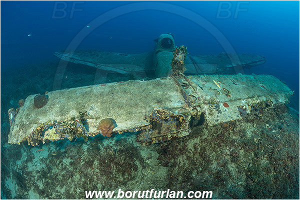 Island Zirje, Croatia, Adriatic sea, Mediterranean sea, Wreck, Airplane, Junkers JU-87 - Stuka