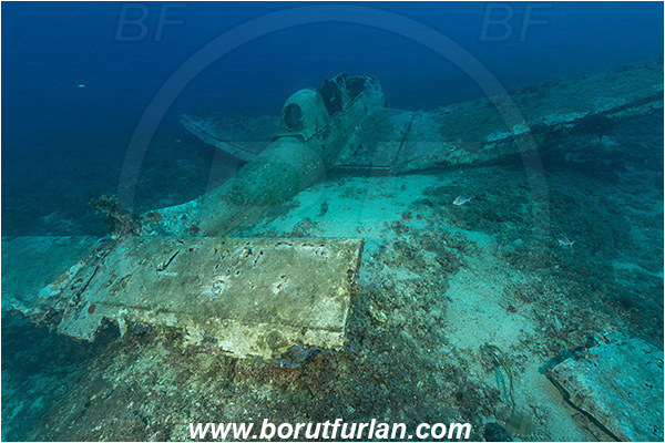 Island Zirje, Croatia, Adriatic sea, Mediterranean sea, Wreck, Airplane, Junkers JU-87 - Stuka