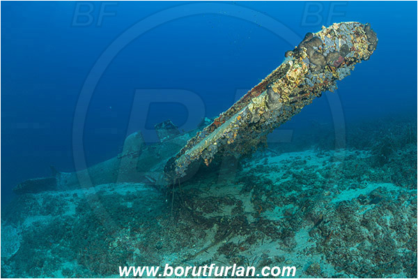 Island Zirje, Croatia, Adriatic sea, Mediterranean sea, Wreck, Airplane, Junkers JU-87 - Stuka