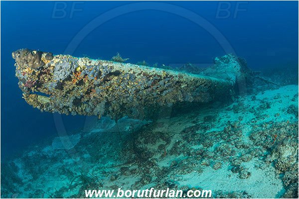 Island Zirje, Croatia, Adriatic sea, Mediterranean sea, Wreck, Airplane, Junkers JU-87 - Stuka