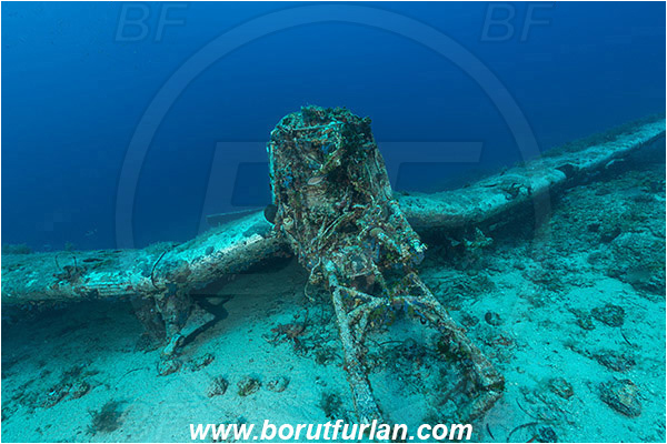 Island Zirje, Croatia, Adriatic sea, Mediterranean sea, Wreck, Airplane, Junkers JU-87 - Stuka