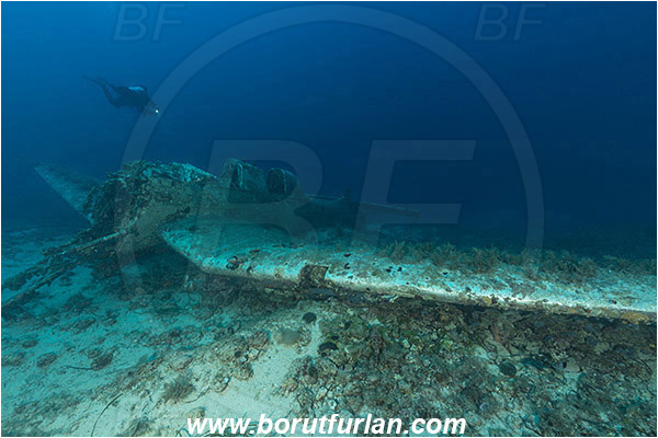 Island Zirje, Croatia, Adriatic sea, Mediterranean sea, Wreck, Airplane, Junkers JU-87 - Stuka, Diver