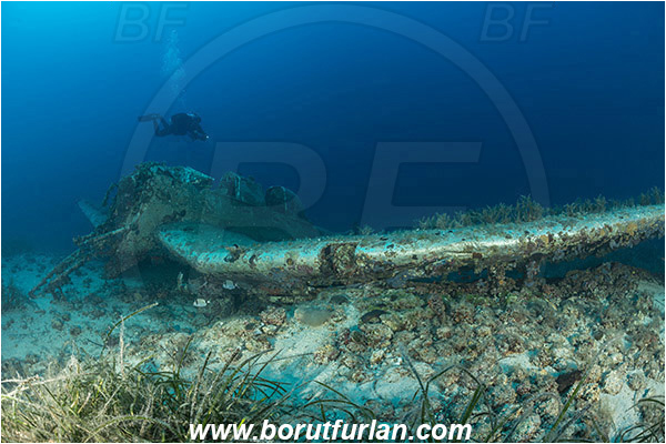 Island Zirje, Croatia, Adriatic sea, Mediterranean sea, Wreck, Airplane, Junkers JU-87 - Stuka, Diver