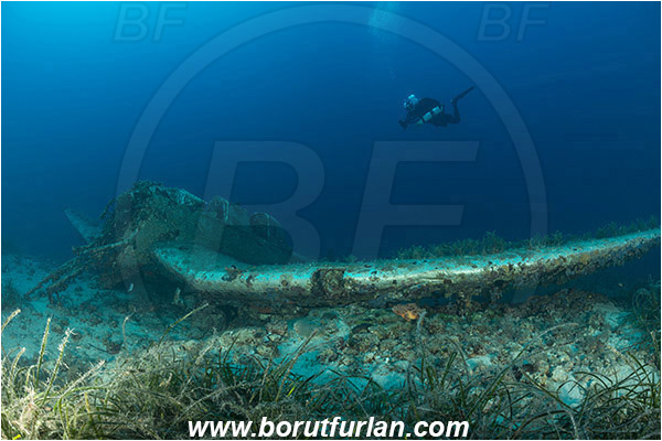 Island Zirje, Croatia, Adriatic sea, Mediterranean sea, Wreck, Airplane, Junkers JU-87 - Stuka, Diver