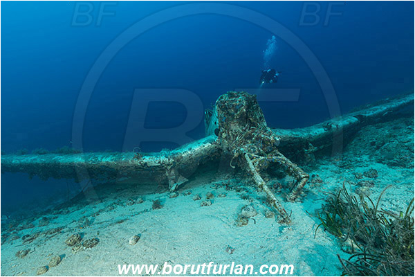 Island Zirje, Croatia, Adriatic sea, Mediterranean sea, Wreck, Airplane, Junkers JU-87 - Stuka, Diver