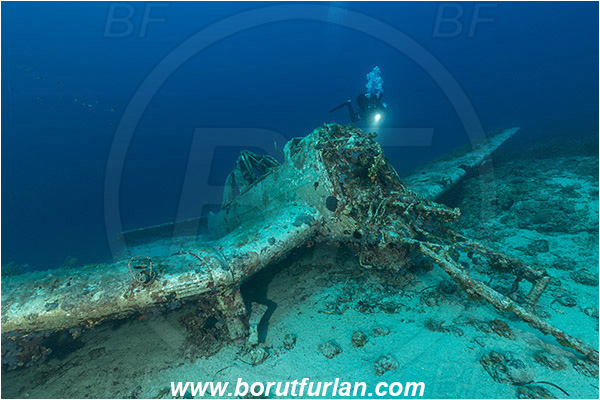 Island Zirje, Croatia, Adriatic sea, Mediterranean sea, Wreck, Airplane, Junkers JU-87 - Stuka, Diver