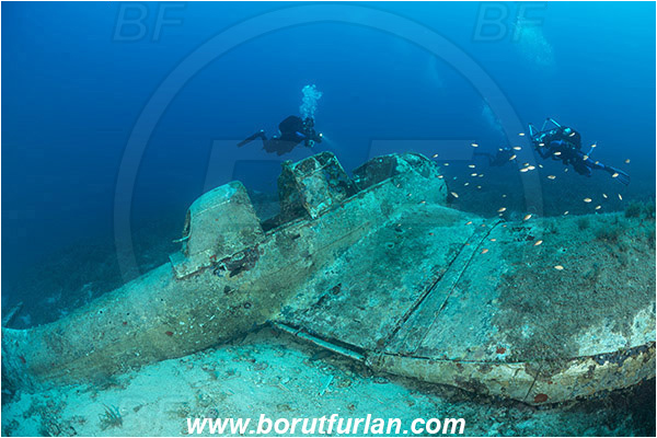 Island Zirje, Croatia, Adriatic sea, Mediterranean sea, Wreck, Airplane, Junkers JU-87 - Stuka, Diver, Underwater photographer