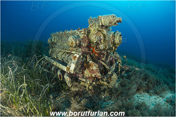 Island Zirje, Croatia, Adriatic sea, Mediterranean sea, Wreck, Airplane, Junkers JU-87 - Stuka, Engine