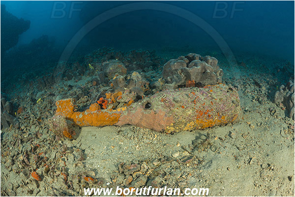 Pula, Istria, Croatia, Adriatic sea, Mediterranean sea, Wreck Hans Schmidt, Hans Schmidt, Wreck, Bomb