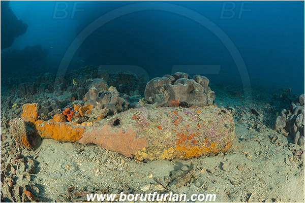 Pula, Istria, Croatia, Adriatic sea, Mediterranean sea, Wreck Hans Schmidt, Hans Schmidt, Wreck, Bomb