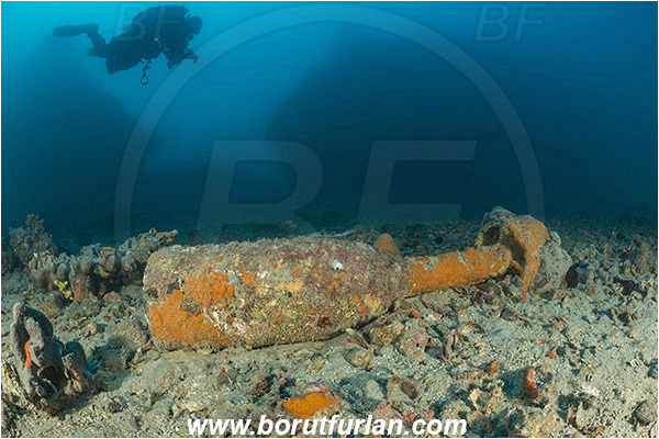 Pula, Istria, Croatia, Adriatic sea, Mediterranean sea, Wreck Hans Schmidt, Hans Schmidt, Wreck, Bomb, Diver