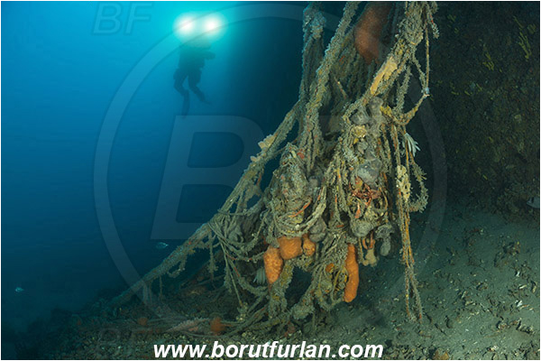 Pula, Istria, Croatia, Adriatic sea, Mediterranean sea, Wreck Baron Gautsch, Baron Gautsch, Wreck, Discarded fishing net, Fishing net, Diver, Underwater videographer