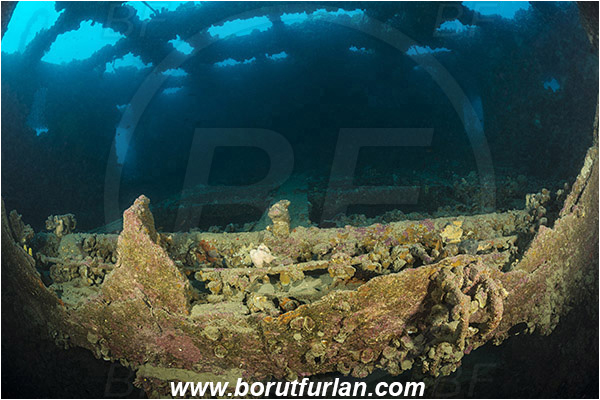 Pula, Istria, Croatia, Adriatic sea, Mediterranean sea, Wreck Baron Gautsch, Baron Gautsch, Wreck
