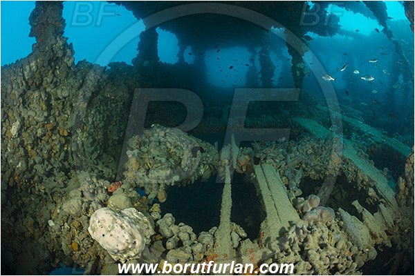 Pula, Istria, Croatia, Adriatic sea, Mediterranean sea, Wreck Baron Gautsch, Baron Gautsch, Wreck