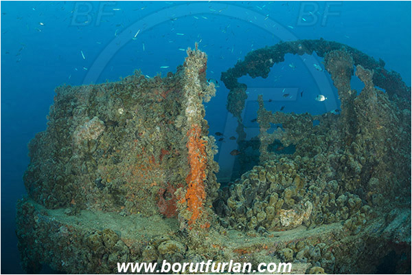 Pula, Istria, Croatia, Adriatic sea, Mediterranean sea, Wreck Baron Gautsch, Baron Gautsch, Wreck