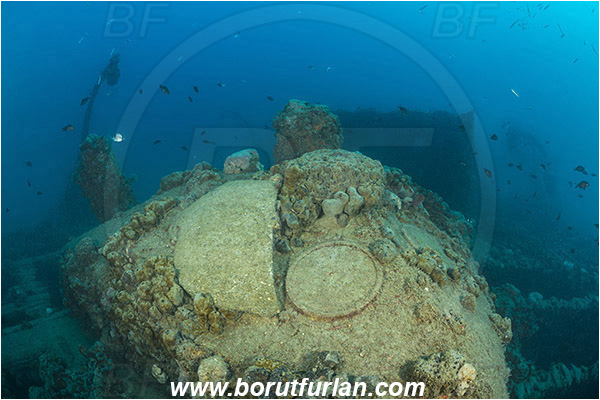 Pula, Istria, Croatia, Adriatic sea, Mediterranean sea, Wreck Baron Gautsch, Baron Gautsch, Wreck