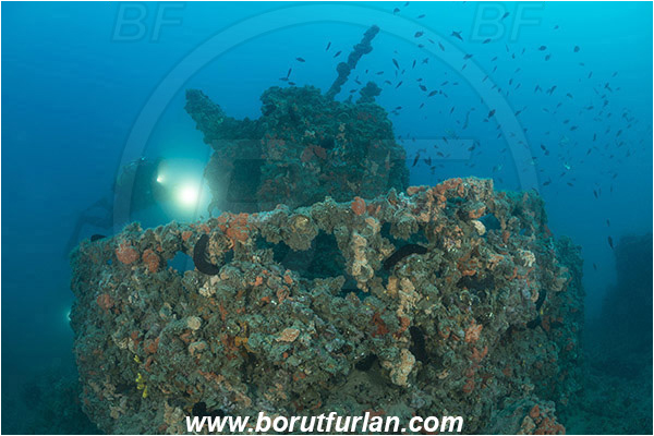 Rovinj, Istria, Croatia, Adriatic sea, Mediterranean sea, Wreck Giuseppe Dezza, Giuseppe Dezza, Wreck, Diver, Underwater videographer
