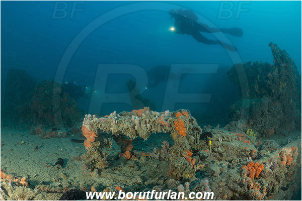Rovinj, Istria, Croatia, Adriatic sea, Mediterranean sea, Wreck Giuseppe Dezza, Giuseppe Dezza, Wreck, Diver, Divers
