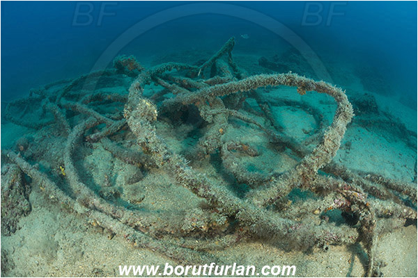 Rovinj, Istria, Croatia, Adriatic sea, Mediterranean sea, Discarded rope, Rope
