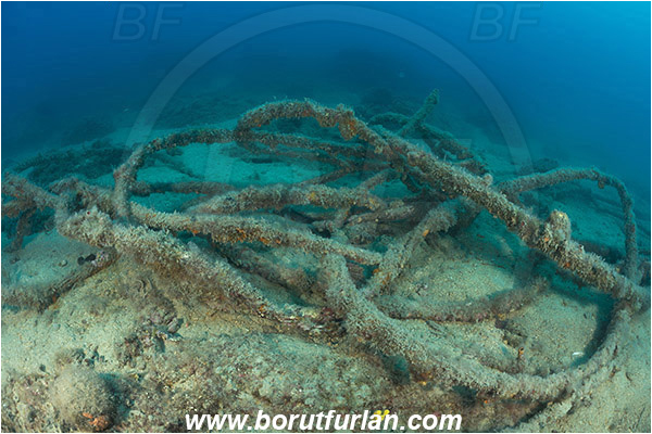 Rovinj, Istria, Croatia, Adriatic sea, Mediterranean sea, Discarded rope, Rope