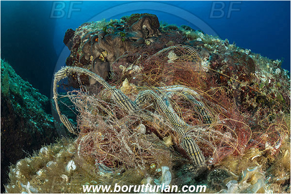 Island Hvar, Croatia, Adriatic sea, Mediterranean sea, Discarded fishing net, Fishing net, Reef