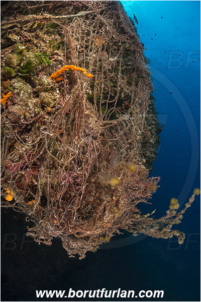Island Hvar, Croatia, Adriatic sea, Mediterranean sea, Discarded fishing net, Fishing net, Reef