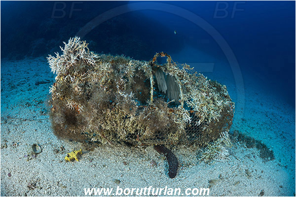 Island Hvar, Croatia, Adriatic sea, Mediterranean sea, Discarded fish trap, Fish trap, Reef