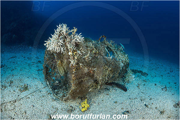 Island Hvar, Croatia, Adriatic sea, Mediterranean sea, Discarded fish trap, Fish trap, Reef