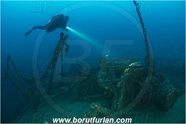 Plomin, Istria, Croatia, Adriatic sea, Mediterranean sea, Wreck Vis, Wreck, Vis, Diver